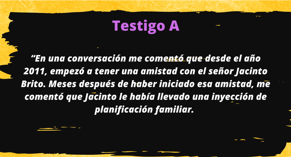  Diseño: Paolina Albani. 